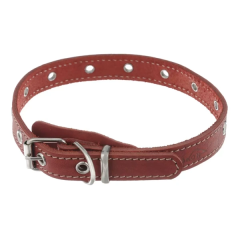 Аксессуары купить зоотовары для животных Аксессуары купить зоотовары для животных