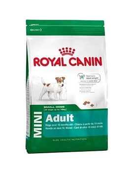 Royal Canin Mini Adult Корм для Взрослых Собак Мелких Пород с 10 Месяцев до 8 Лет 8кг купить  зоотовары для животных