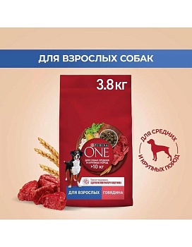 PURINA ONE для собак средних и крупных пород Говядина Рис 3,8кг купить  зоотовары для животных