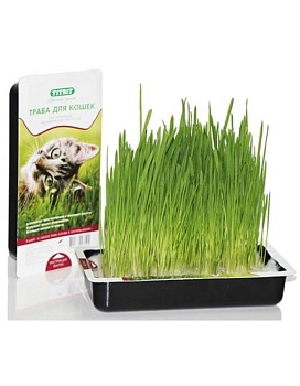 TiTBiT Трава для кошек 40г купить  зоотовары для животных