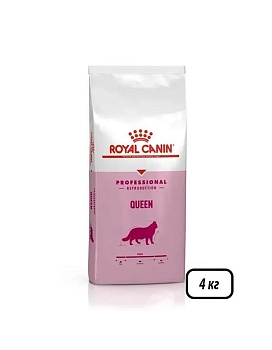 ROYAL CANIN QUEEN сухой корм для кошек в период течки, беременности и лактации 4кг купить  зоотовары для животных