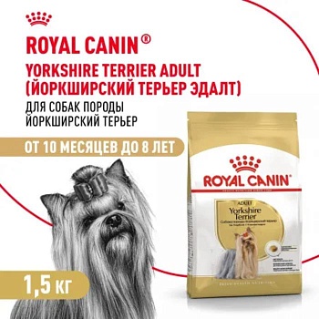ROYAL CANIN YORKSHIRE TERRIER ADULT сухой корм для взрослых собак породы Йоркширский Терьер от 10 месяцев 1,5кг купить  зоотовары для животных