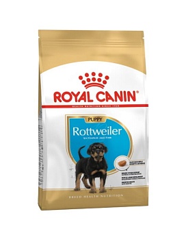 ROYAL CANIN ROTTWEILER PUPPY сухой корм для щенков Ротвейлера до 18 месяцев 12кг купить  зоотовары для животных