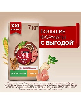 PURINA ONE МИНИ 7 кг сухой корм для взрослых собак мелких пород, с высоким содержанием курицы и с рисом купить  зоотовары для животных