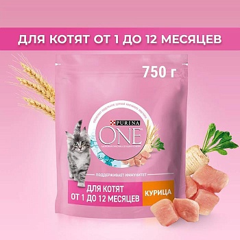 PURINA ONE сухой корм для котят, с высоким содержанием курицы и цельными злаками 750г купить  зоотовары для животных