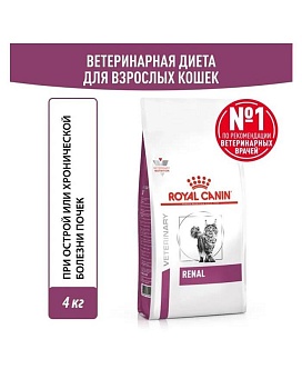 ROYAL CANIN VD RENAL FELINE ветеринарная диета, сухой корм для взрослых кошек для поддержания функции почек 4кг купить  зоотовары для животных