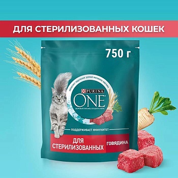 PURINA ONE сухой корм для стерилизованных кошек и кастрированных котов, с высоким содержанием говядины 750г купить  зоотовары для животных