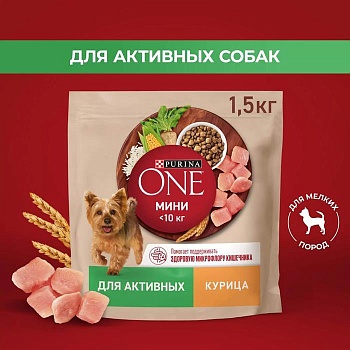 PURINA ONE МИНИ 1,5 кг сухой корм для собак мелких пород с активным образом жизни, с высоким содержанием курицы и с рисом 1х6  {12567504} купить  зоотовары для животных