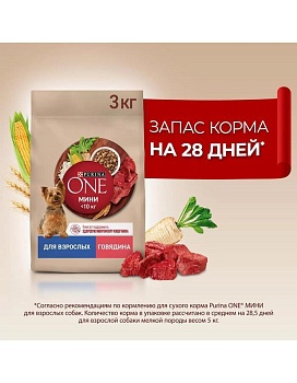 PURINA ONE МИНИ 3 кг сухой корм для взрослых собак мелких пород, с высоким содержанием говядины и с рисом купить  зоотовары для животных