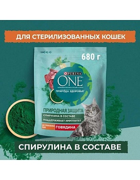 PURINA ONE Природа Здоровья сухой корм для стерилизованных кошек и кастрированных котов, с высоким содержанием говядины 600г купить  зоотовары для животных