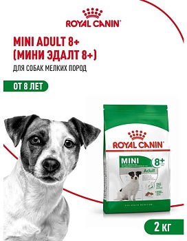 ROYAL CANIN MINI ADULT 8+ 2 кг сухой корм для собак мелких пород с 8 до 12 лет 1х6 купить  зоотовары для животных