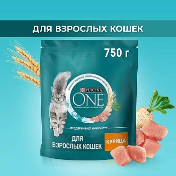 PURINA ONE сухой корм для взрослых кошек, с высоким содержанием курицы 750г купить  зоотовары для животных