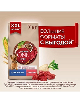 PURINA ONE МИНИ 7 кг сухой корм для взрослых собак мелких пород, с высоким содержанием говядины и с рисом купить  зоотовары для животных