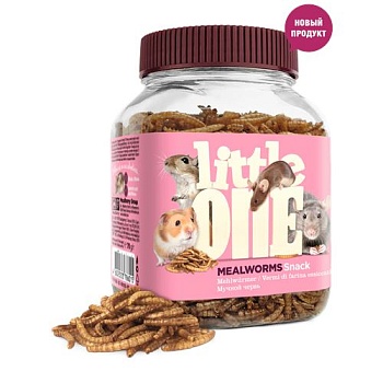 LITTLE ONE Лакомство для всеядных грызунов Мучной червь 70 г шт купить  зоотовары для животных