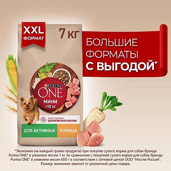 PURINA ONE МИНИ 7 кг сухой корм для взрослых собак мелких пород, с высоким содержанием курицы и с рисом  {12555343} купить  зоотовары для животных