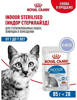 ROYAL CANIN INDOOR STERILISED пауч влажный корм кусочки в желе для стерилизованных кошек от 1 до 7 лет, живущих в помещении 28х85г купить  зоотовары для животных