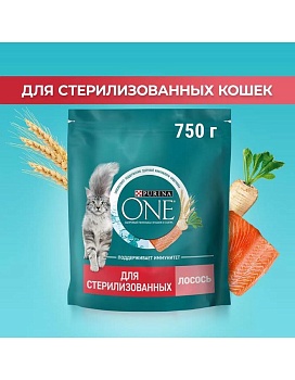 PURINA ONE сухой корм для стерилизованных кошек и кастрированных котов, с высоким содержанием лосося и пшеницей 750г купить  зоотовары для животных