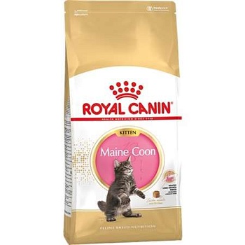 Royal Canin Kitten Main Coon 36 сухой корм для котят крупных пород 10кг купить  зоотовары для животных