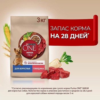 PURINA ONE МИНИ 3 кг сухой корм для взрослых собак мелких пород, с высоким содержанием говядины и с рисом 1х4  {12554099} купить  зоотовары для животных