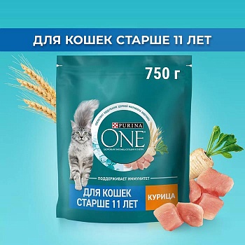 PURINA ONE сухой корм для кошек старше 11 лет, с высоким содержанием курицы и цельными злаками 750г купить  зоотовары для животных