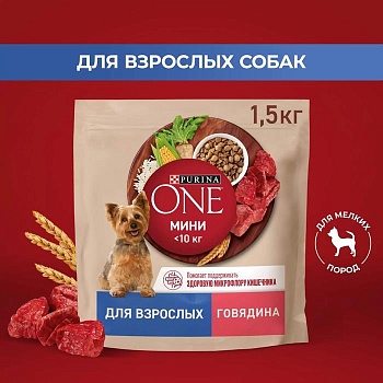 PURINA ONE МИНИ 1,5 кг сухой корм для взрослых собак мелких и карликовых пород с высоким содержанием говядины и рисом 1х6  {12567517} купить  зоотовары для животных