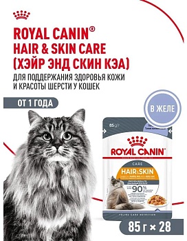 ROYAL CANIN HAIR & SKIN пауч влажный корм кусочки в желе для взрослых кошек в целях поддержания здоровья кожи и шерсти 28х85г купить  зоотовары для животных