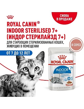 ROYAL CANIN INDOOR STERILISED 7+ пауч влажный корм мелкие кусочки в соусе для кошек живущих в помещении в возрасте от 7 до 12 лет 28х85г купить  зоотовары для животных