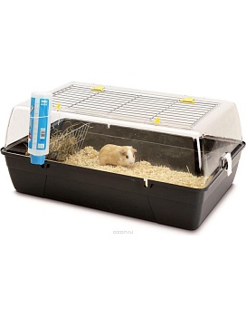SAVIC Клетка для грызунов RODY CAVIA 70х45х31 пластик купить  зоотовары для животных