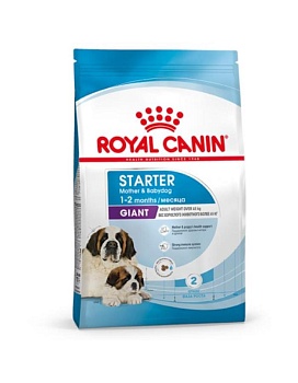 ROYAL CANIN GIANT STARTER корм для крупных породщенков до 2-х месяцев, беременных и кормящих сук 15кг купить  зоотовары для животных