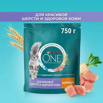 PURINA ONE сухой корм для взрослых кошек для красивой шерсти, здоровой кожи и контроля образования волосяных комков, с высоким содержанием курицы и цельными злаками 750г купить  зоотовары для животных