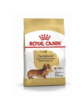 ROYAL CANIN DACHSHUND ADULT сухой корм взрослых собак породы Такса от 10 месяцев 1,5кг купить  зоотовары для животных