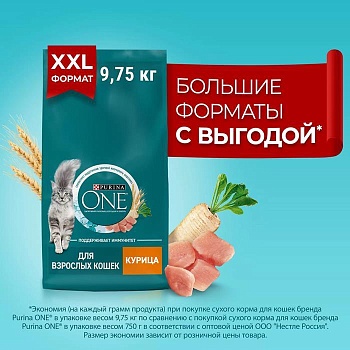 PURINA ONE сухой корм для взрослых кошек, с высоким содержанием курицы и цельными злаками 9,75кг купить  зоотовары для животных