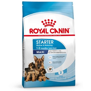 ROYAL CANIN MAXI STARTER корм для щенков крупных пород до 2-х месяцев, беременных и кормящих сук 4кг купить  зоотовары для животных