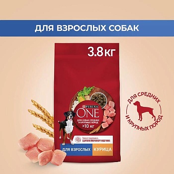 PURINA ONE для собак средних и крупных пород Курица Рис 3,8кг купить  зоотовары для животных