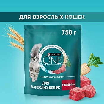 PURINA ONE сухой корм для взрослых кошек, с высоким содержанием говядины и цельными злаками 750г купить  зоотовары для животных