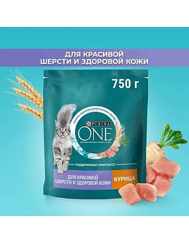 PURINA ONE сухой корм для взрослых кошек для красивой шерсти, здоровой кожи и контроля образования волосяных комков, с высоким содержанием курицы и цельными злаками 750г купить  зоотовары для животных