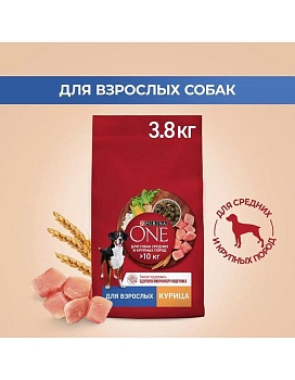 PURINA ONE для собак средних и крупных пород Курица Рис 3,8кг купить  зоотовары для животных