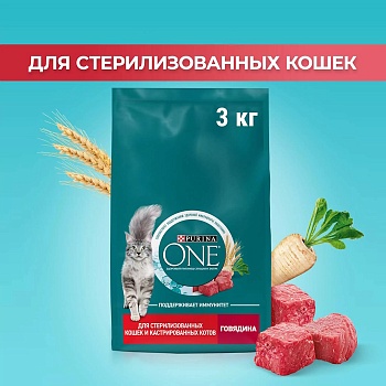 PURINA ONE сухой корм для стерилизованных кошек и кастрированных котов, с высоким содержанием говядины и пшеницей 3кг купить  зоотовары для животных