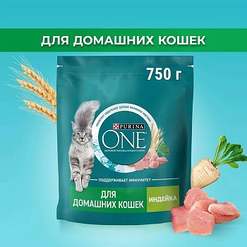 PURINA ONE сухой корм для взрослых кошек, живущих в домашних условиях, с высоким содержанием индейки 750г купить  зоотовары для животных