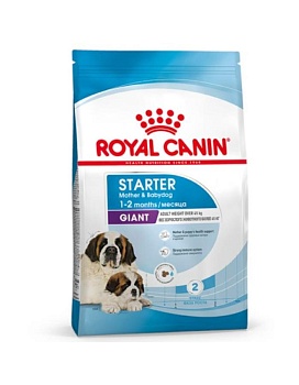 ROYAL CANIN GIANT STARTER корм для крупных пород щенков до 2-х месяцев, беременных и кормящих сук 4кг купить  зоотовары для животных