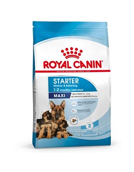 ROYAL CANIN MAXI STARTER корм для щенков крупных пород до 2-х месяцев, беременных и кормящих сук 4кг купить  зоотовары для животных