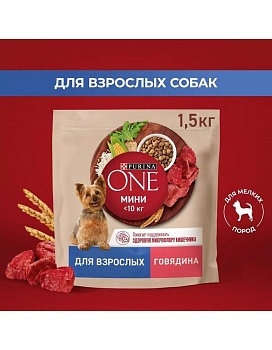 PURINA ONE МИНИ 1,5 кг сухой корм для взрослых собак мелких и карликовых пород с высоким содержанием говядины и рисом купить  зоотовары для животных