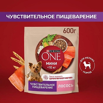 PURINA ONE МИНИ Чувствительная сухой корм для Собак Лосось с рисом 600 гр купить  зоотовары для животных