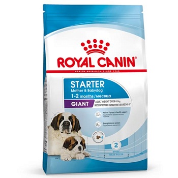 ROYAL CANIN GIANT STARTER корм для крупных пород щенков до 2-х месяцев, беременных и кормящих сук 4кг купить  зоотовары для животных