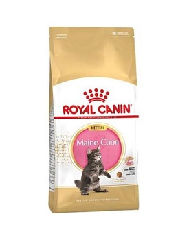 Royal Canin Kitten Main Coon 36 сухой корм для котят крупных пород 10кг купить  зоотовары для животных