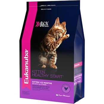 EUKANUBA KITTEN HEALTHY START сухой корм для котят с домашней птицей 2кг купить  зоотовары для животных