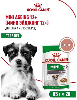 ROYAL CANIN MINI AGEING 12+ пауч влажный корм кусочки в соусе для стареющих собак мелких размеров старше 12 лет 28х85г купить  зоотовары для животных