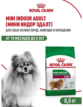 ROYAL CANIN MINI INDOOR ADULT сухой корм для взрослых собак небольших размеров, живущих в помещении 500г купить  зоотовары для животных