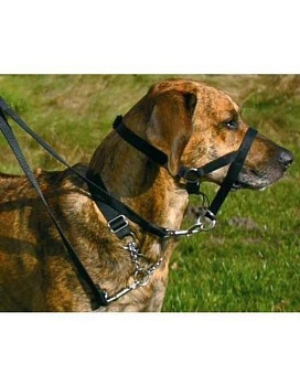 TRIXIE 13004 Намордник д/собак тренировочный L 31см (длина поводка 50-57см) 70г купить  зоотовары для животных